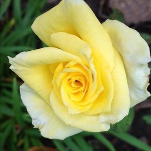 Meet your Posher, Ernestine